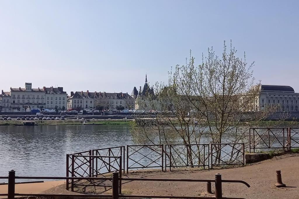 Les Marronniers Appartement Centre Saumur Bord De Loire Εξωτερικό φωτογραφία