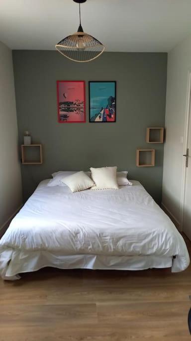 Les Marronniers Appartement Centre Saumur Bord De Loire Εξωτερικό φωτογραφία